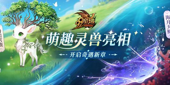 国外玩国内游戏教程